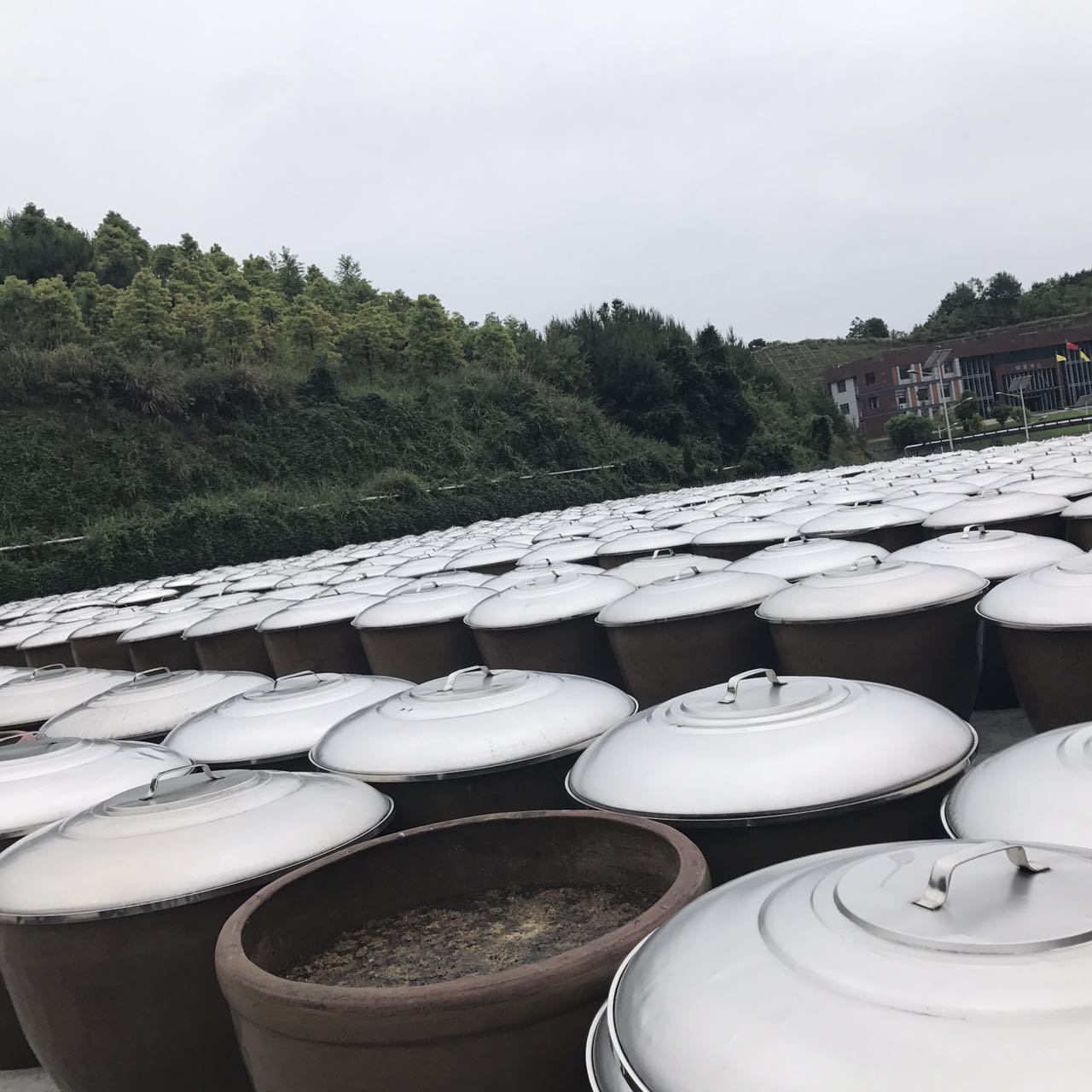 味.jpg 皇冠体育